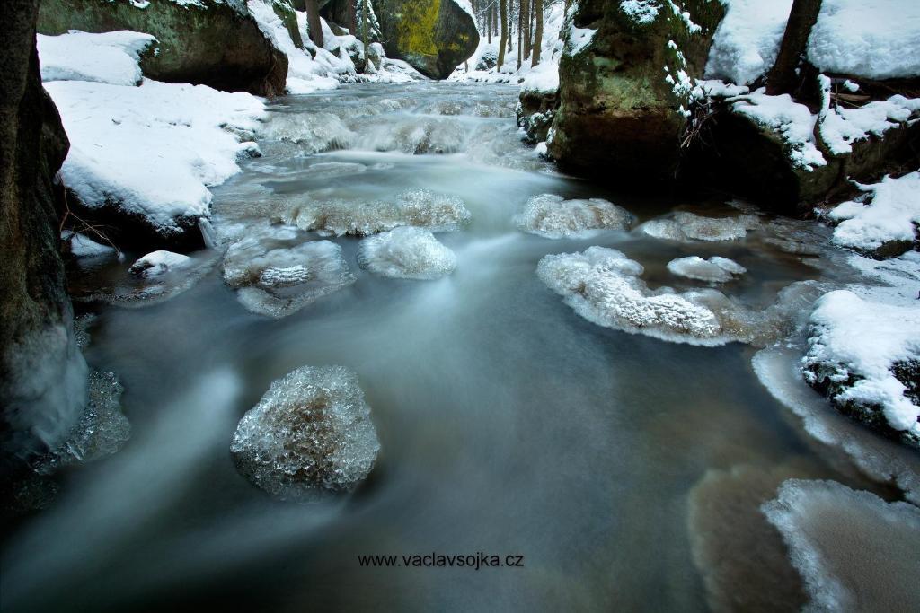 Penzion Kamzik Ceska Kamenice Exterior photo